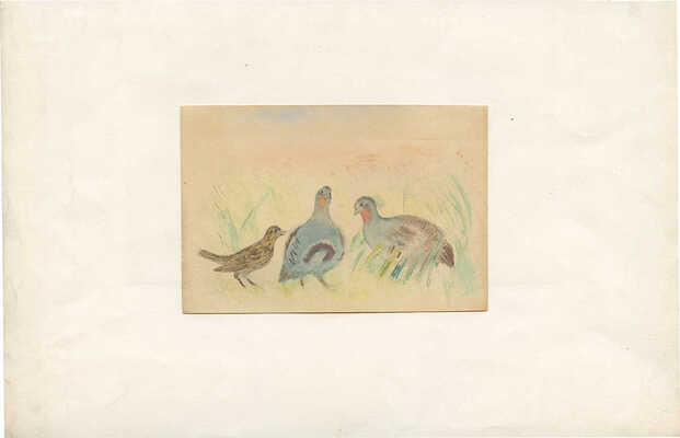 Тырса Николай Андреевич. Куропатки и соловей